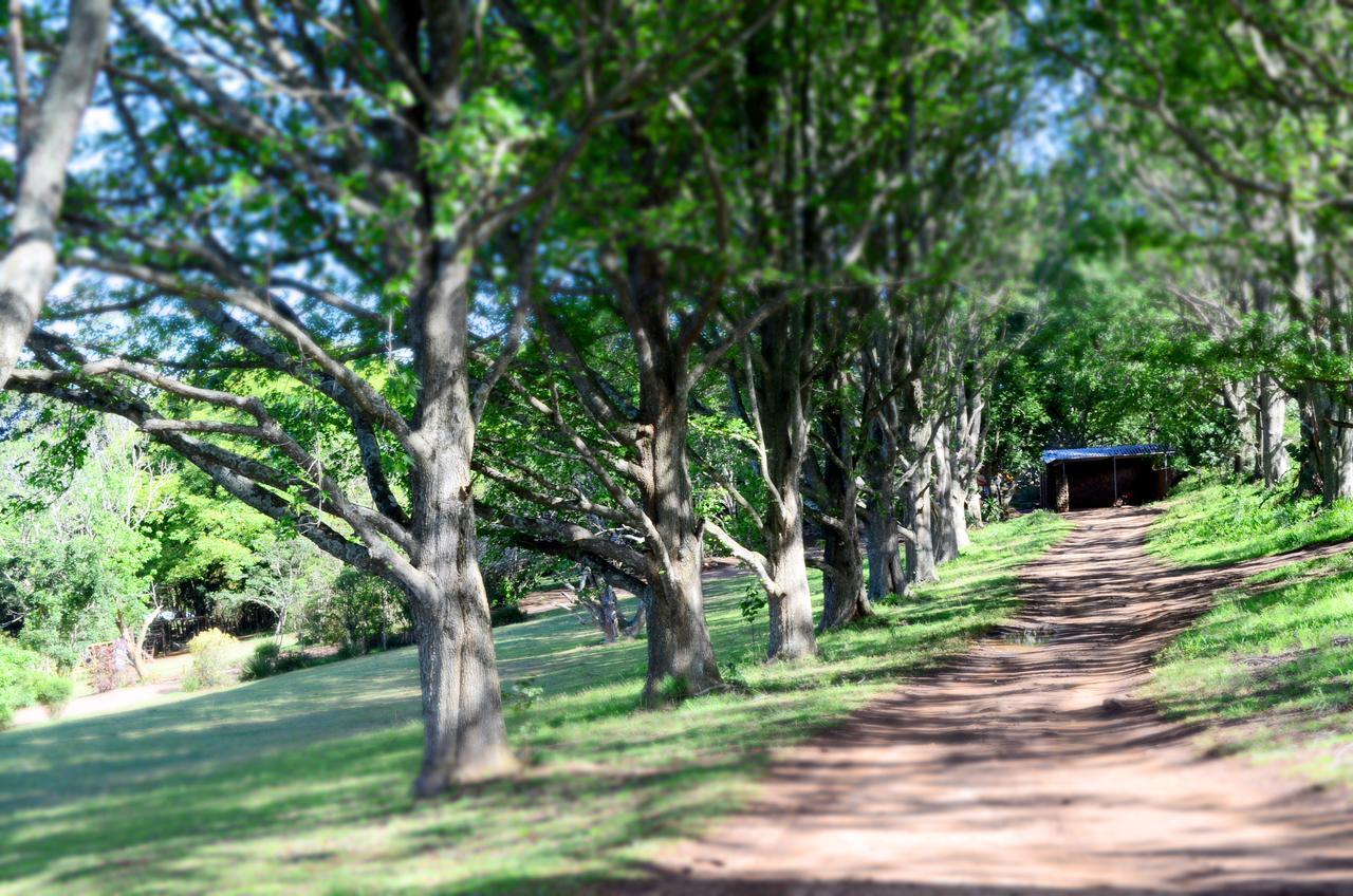 Villa Phezulu Safari Park Botha's Hill Exterior foto